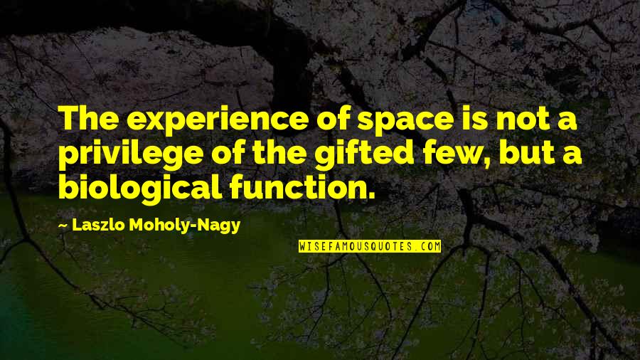 Eskiya Quotes By Laszlo Moholy-Nagy: The experience of space is not a privilege