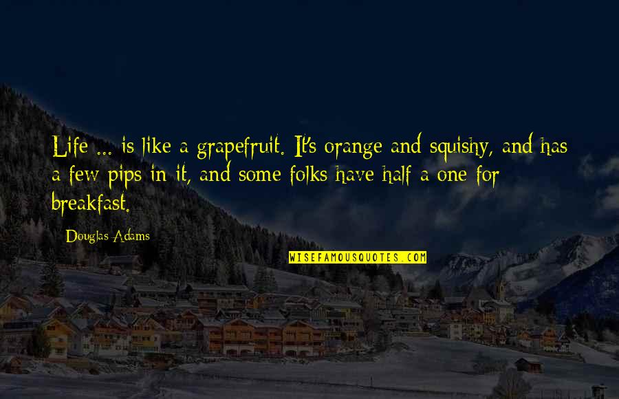 Esl Discussion Quotes By Douglas Adams: Life ... is like a grapefruit. It's orange