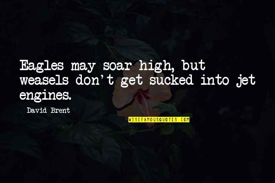 Eslinga Quotes By David Brent: Eagles may soar high, but weasels don't get