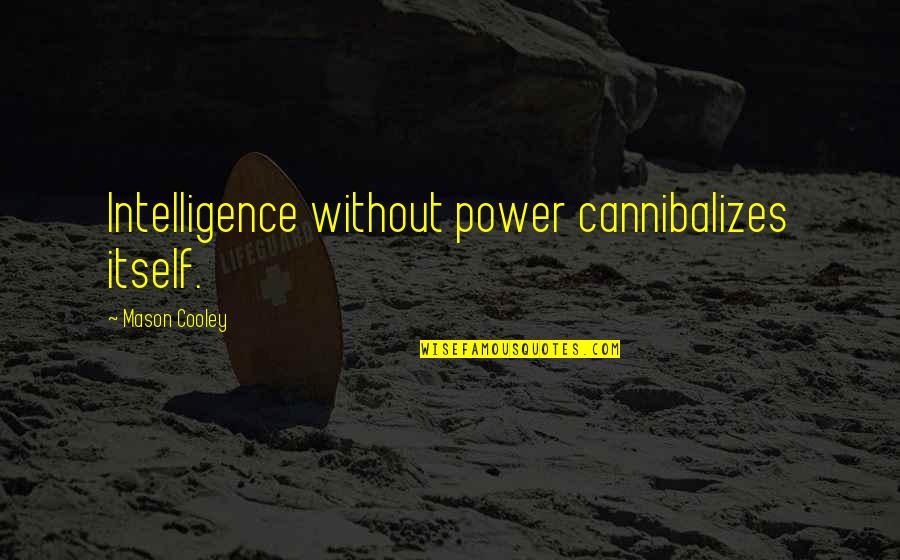 Eslinger Roletne Quotes By Mason Cooley: Intelligence without power cannibalizes itself.