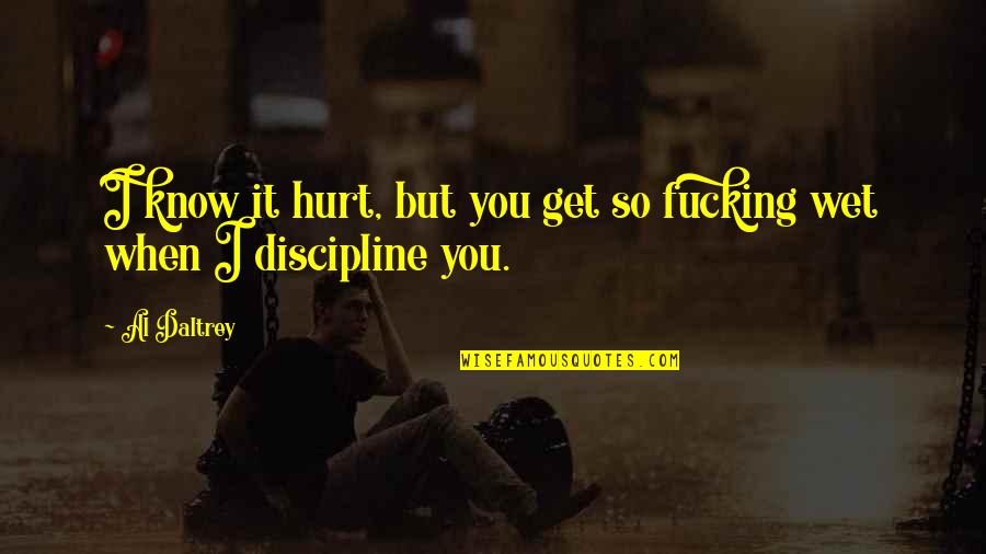 Esmaga Quotes By Al Daltrey: I know it hurt, but you get so