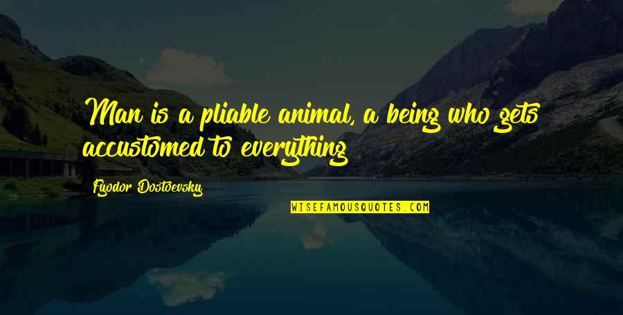 Esmagando Carro Quotes By Fyodor Dostoevsky: Man is a pliable animal, a being who Esmagando Carro Quotes By Fyodor Dostoevsky: Man is a pliable animal, a being who