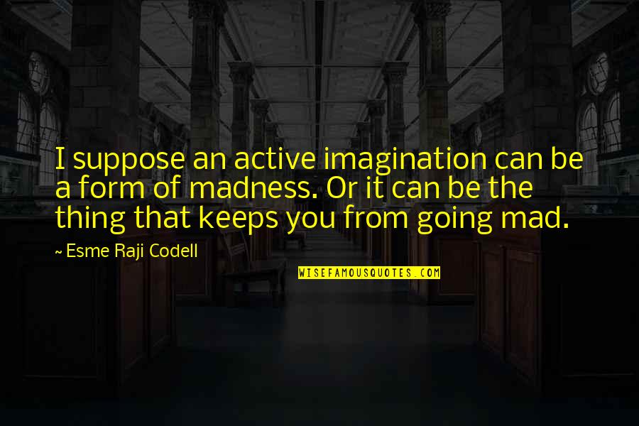 Esme Quotes By Esme Raji Codell: I suppose an active imagination can be a