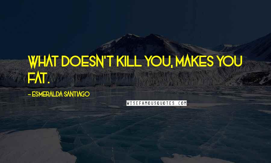 Esmeralda Santiago quotes: What doesn't kill you, makes you fat.