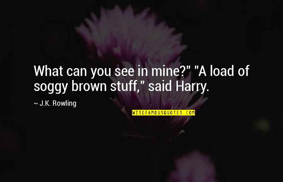 Esmero Significado Quotes By J.K. Rowling: What can you see in mine?" "A load