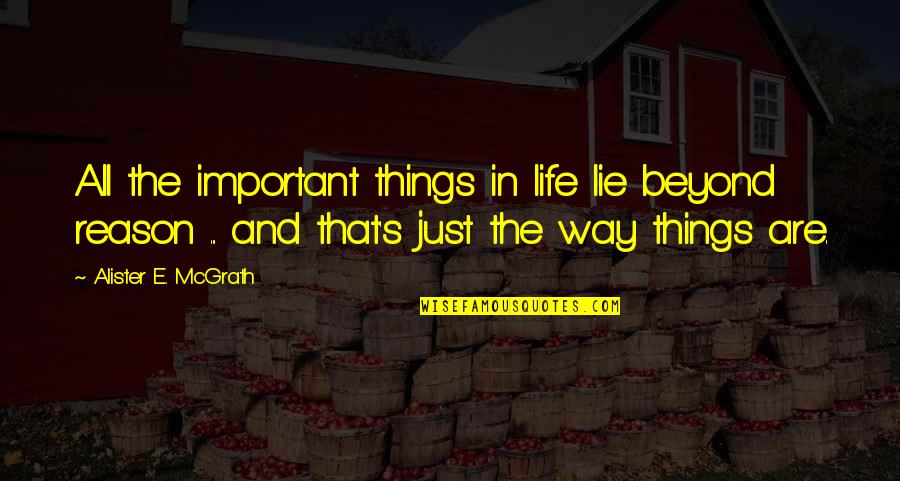 Esmeron Quotes By Alister E. McGrath: All the important things in life lie beyond Esmeron Quotes By Alister E. McGrath: All the important things in life lie beyond