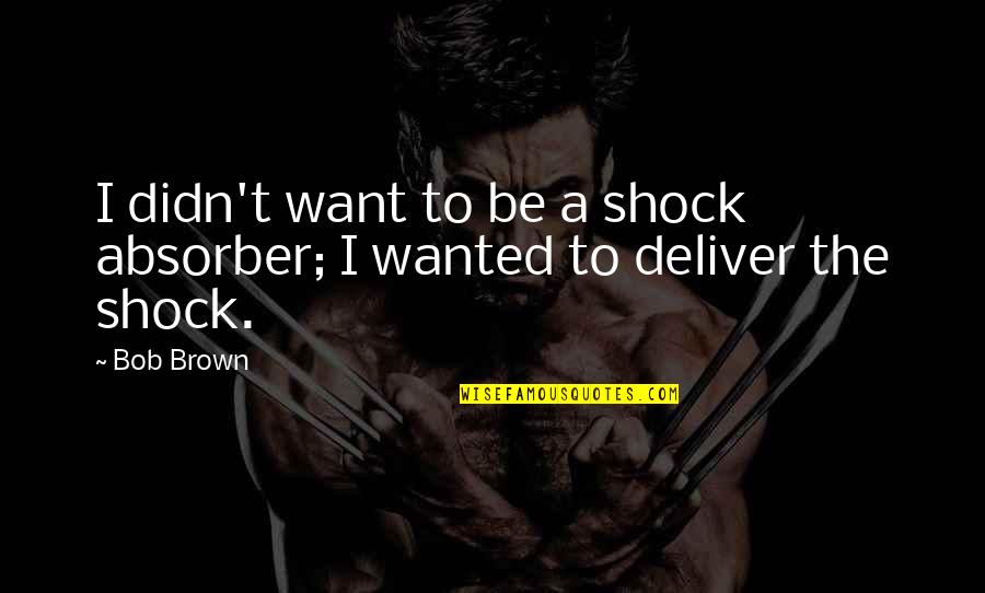 Espagnole Quotes By Bob Brown: I didn't want to be a shock absorber;