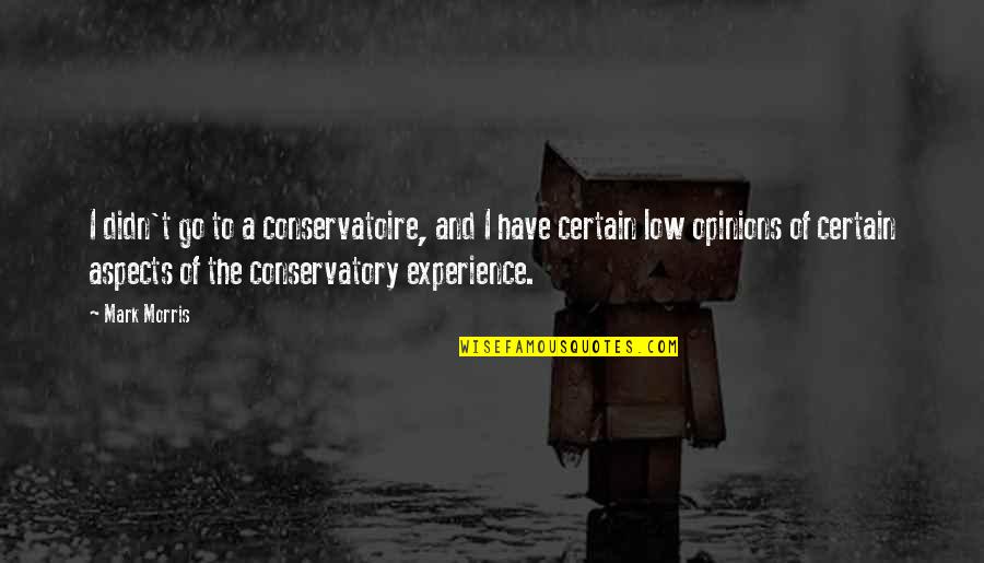 Espaider Quotes By Mark Morris: I didn't go to a conservatoire, and I