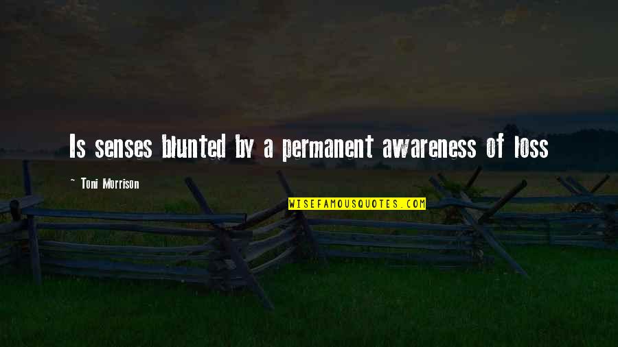 Espantapajaros Halloween Quotes By Toni Morrison: Is senses blunted by a permanent awareness of Espantapajaros Halloween Quotes By Toni Morrison: Is senses blunted by a permanent awareness of