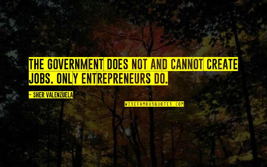 Espectral La Quotes By Sher Valenzuela: The government does not and cannot create jobs.