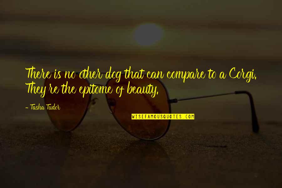 Espectral Pelicula Quotes By Tasha Tudor: There is no other dog that can compare