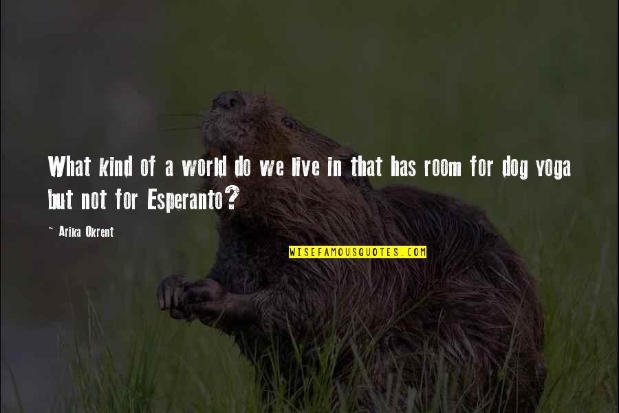 Esperanto Quotes By Arika Okrent: What kind of a world do we live