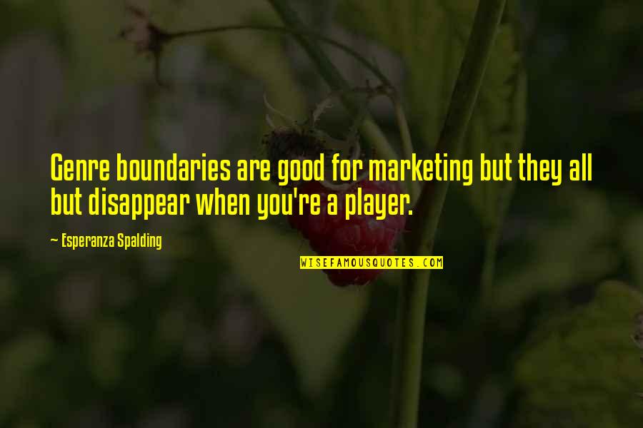 Esperanza Quotes By Esperanza Spalding: Genre boundaries are good for marketing but they