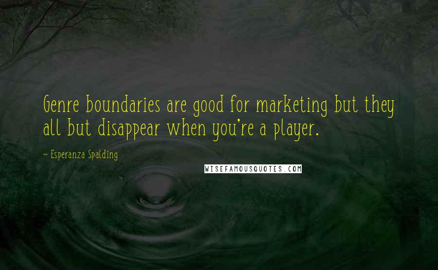 Esperanza Spalding quotes: Genre boundaries are good for marketing but they all but disappear when you're a player.