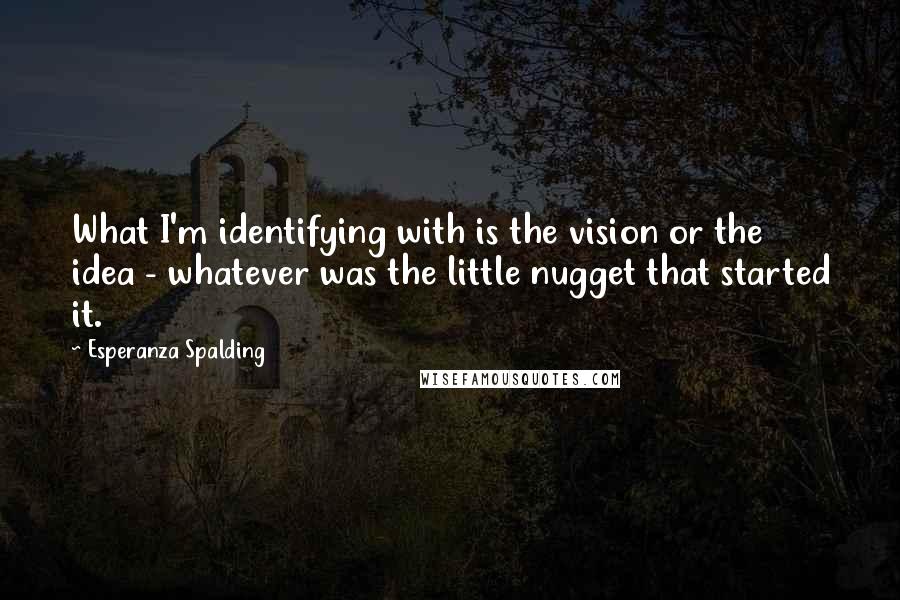 Esperanza Spalding quotes: What I'm identifying with is the vision or the idea - whatever was the little nugget that started it.