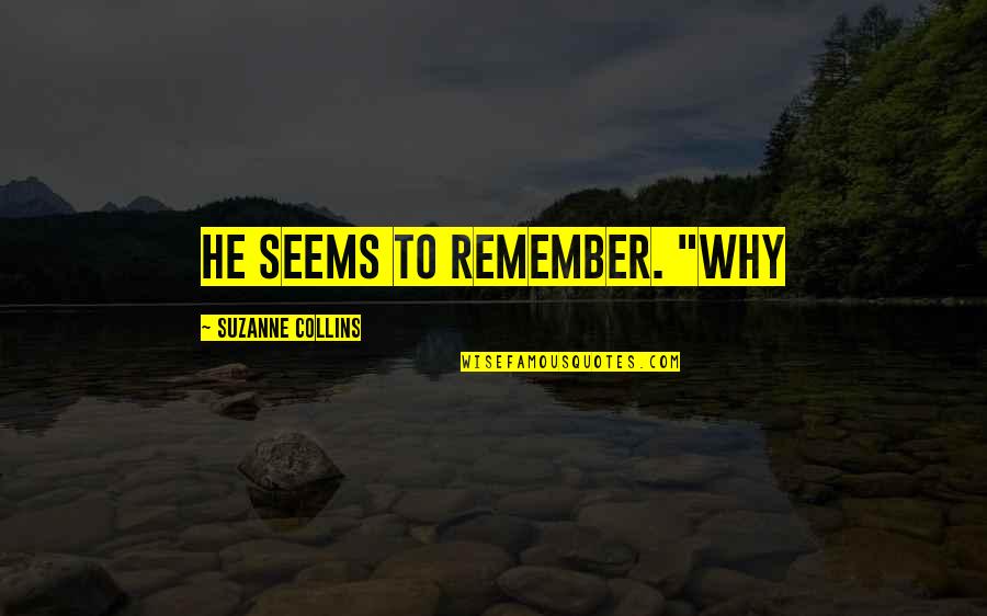 Esperemos Quotes By Suzanne Collins: He seems to remember. "Why
