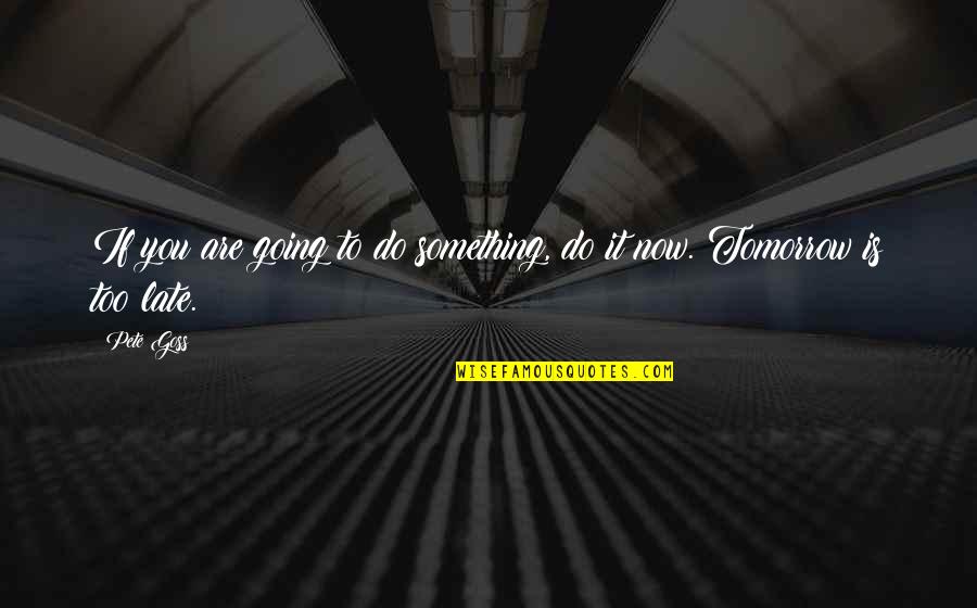 Espiner De Papel Quotes By Pete Goss: If you are going to do something, do