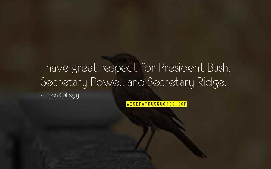 Espiral Soft Quotes By Elton Gallegly: I have great respect for President Bush, Secretary