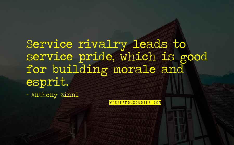 Esprit Quotes By Anthony Zinni: Service rivalry leads to service pride, which is Esprit Quotes By Anthony Zinni: Service rivalry leads to service pride, which is