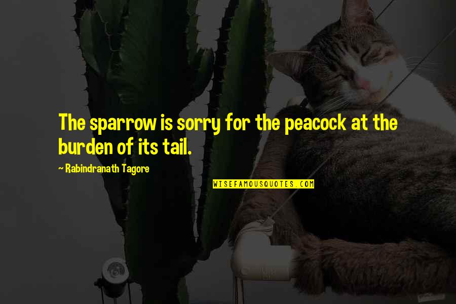 Esquivo De Nacimiento Quotes By Rabindranath Tagore: The sparrow is sorry for the peacock at