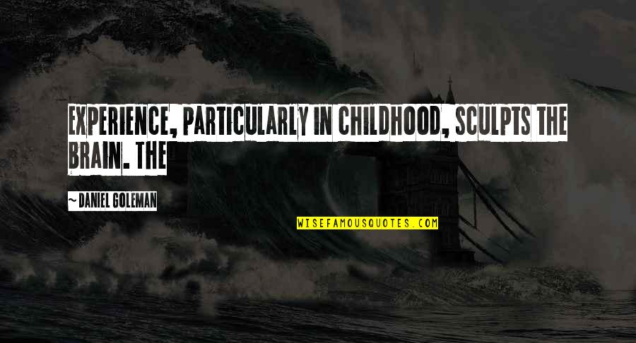 Esquizofrenia En Quotes By Daniel Goleman: Experience, particularly in childhood, sculpts the brain. The Esquizofrenia En Quotes By Daniel Goleman: Experience, particularly in childhood, sculpts the brain. The