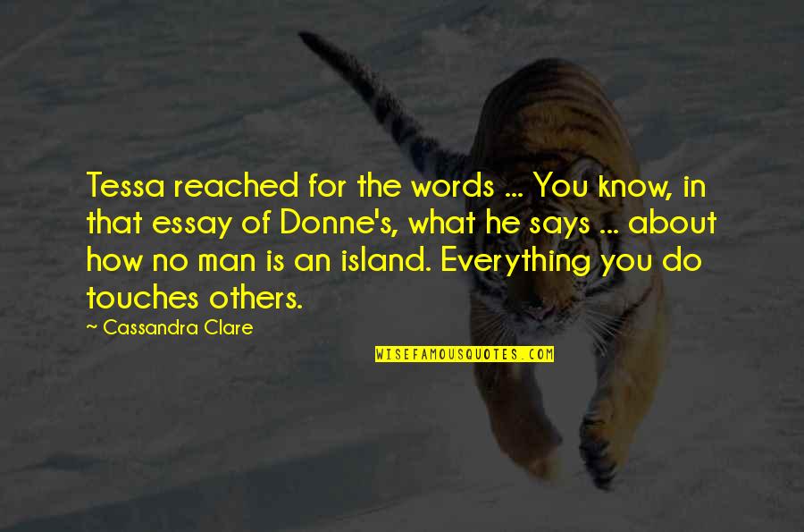 Essay Quotes By Cassandra Clare: Tessa reached for the words ... You know,