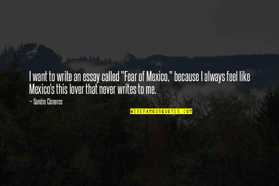 Essay Quotes By Sandra Cisneros: I want to write an essay called "Fear