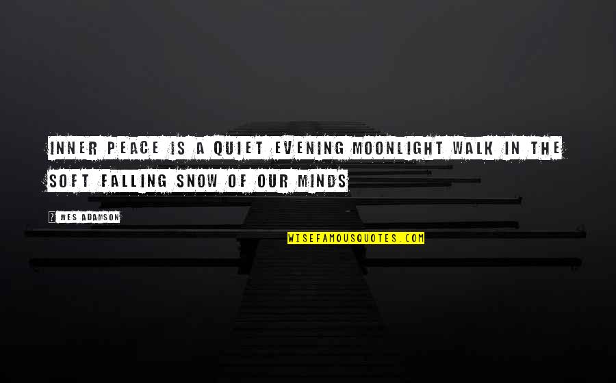 Essay Tires Quotes By Wes Adamson: Inner peace is a quiet evening moonlight walk