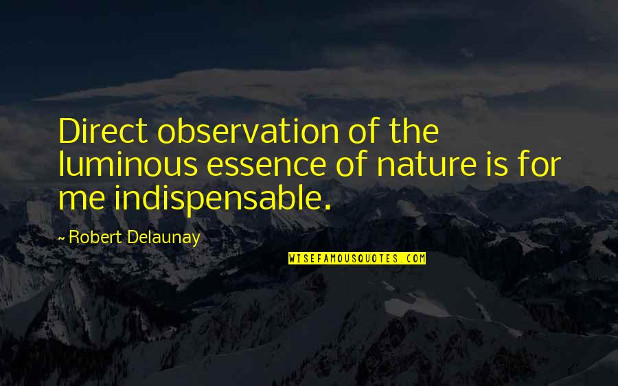 Essence Of Nature Quotes By Robert Delaunay: Direct observation of the luminous essence of nature