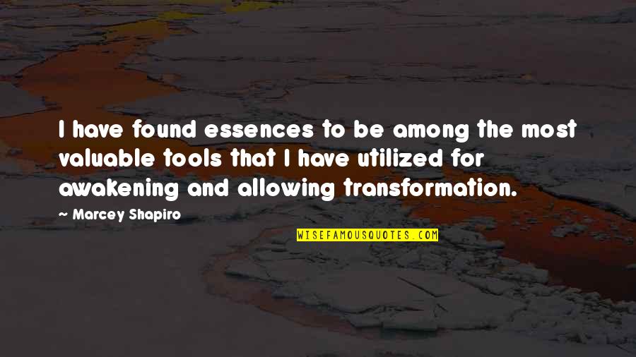 Essences Quotes By Marcey Shapiro: I have found essences to be among the