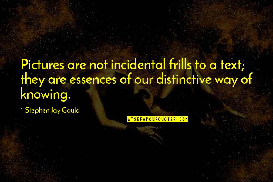 Essences Quotes By Stephen Jay Gould: Pictures are not incidental frills to a text;