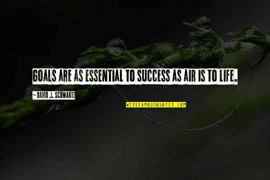 Essential Quotes By David J. Schwartz: Goals are as essential to success as air
