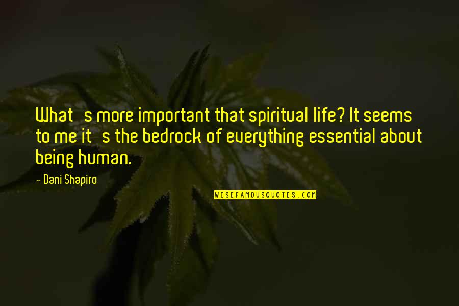 Essential That Quotes By Dani Shapiro: What's more important that spiritual life? It seems Essential That Quotes By Dani Shapiro: What's more important that spiritual life? It seems