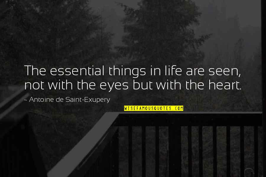 Essential Things Quotes By Antoine De Saint-Exupery: The essential things in life are seen, not Essential Things Quotes By Antoine De Saint-Exupery: The essential things in life are seen, not