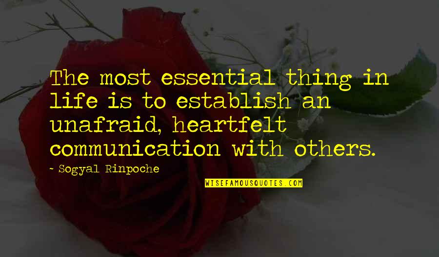 Essential Things Quotes By Sogyal Rinpoche: The most essential thing in life is to Essential Things Quotes By Sogyal Rinpoche: The most essential thing in life is to