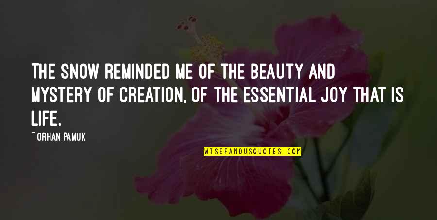 Essentials Of Life Quotes By Orhan Pamuk: The snow reminded me of the beauty and