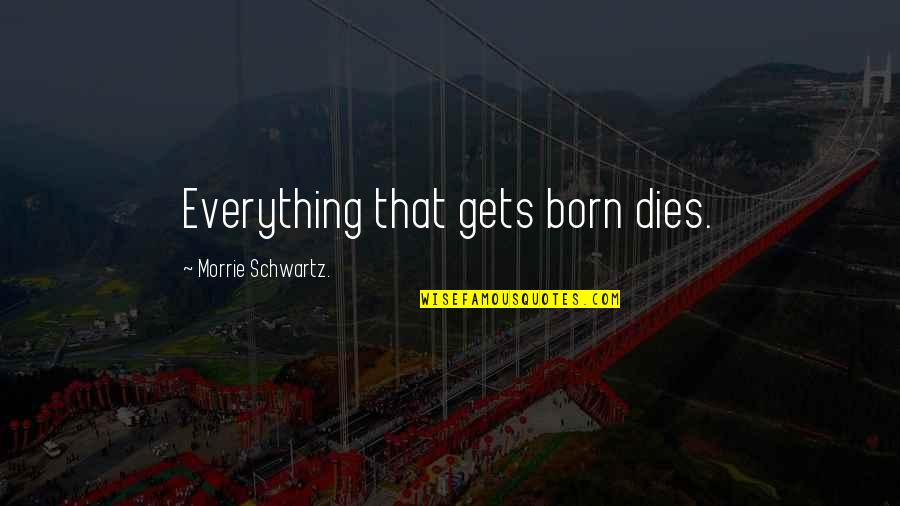Essie Quotes By Morrie Schwartz.: Everything that gets born dies.