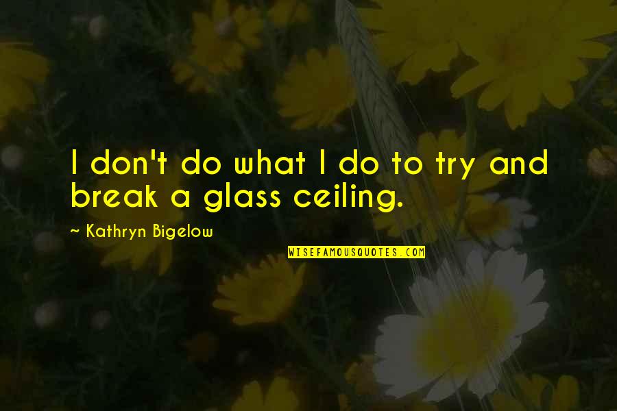 Essorant Quotes By Kathryn Bigelow: I don't do what I do to try