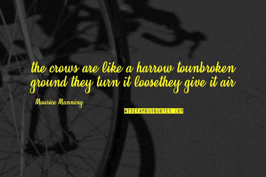 Est Fest Quotes By Maurice Manning: the crows are like a harrow tounbroken ground