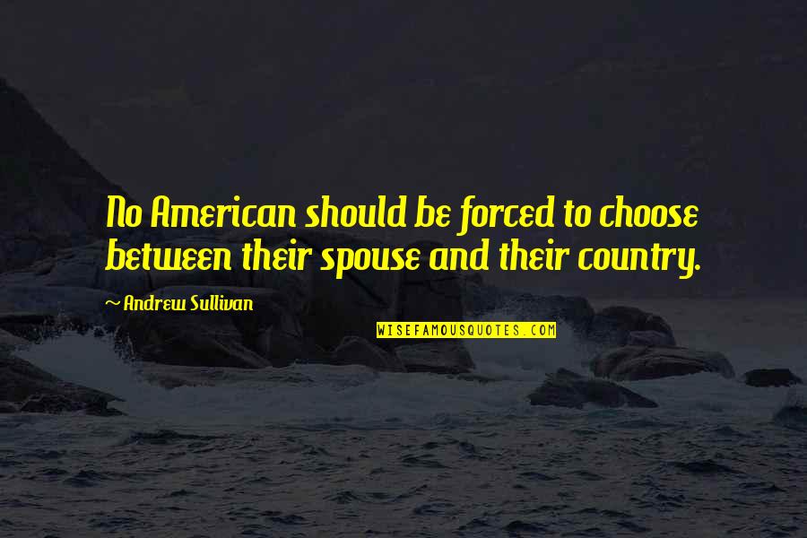 Estampa Gaucha Quotes By Andrew Sullivan: No American should be forced to choose between