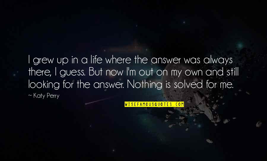 Estancamiento Caricatura Quotes By Katy Perry: I grew up in a life where the