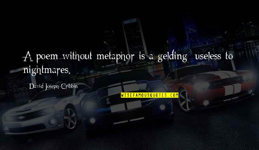 Estanqueidad Quotes By David Joseph Cribbin: A poem without metaphor is a gelding; useless
