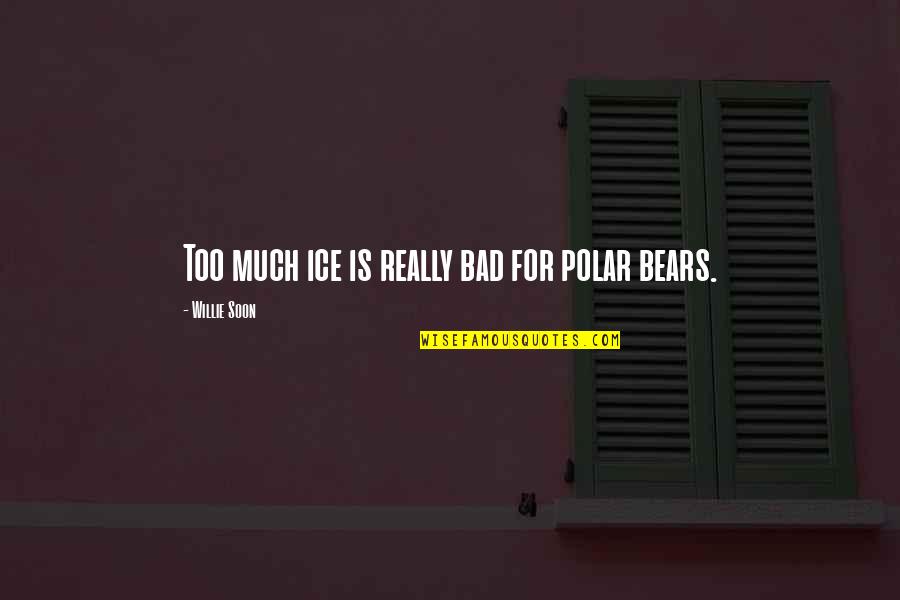 Estate Agents Funny Quotes By Willie Soon: Too much ice is really bad for polar