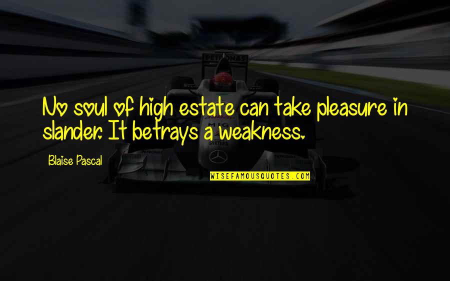 Estate Quotes By Blaise Pascal: No soul of high estate can take pleasure