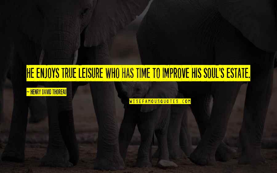 Estate Quotes By Henry David Thoreau: He enjoys true leisure who has time to