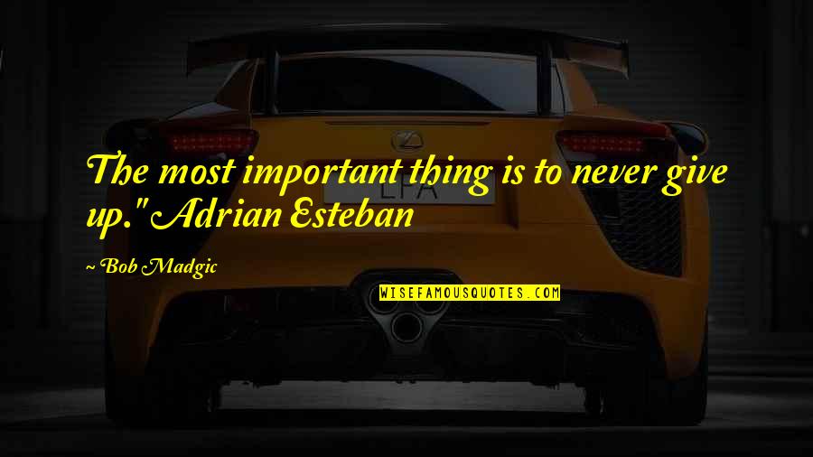 Esteban Quotes By Bob Madgic: The most important thing is to never give