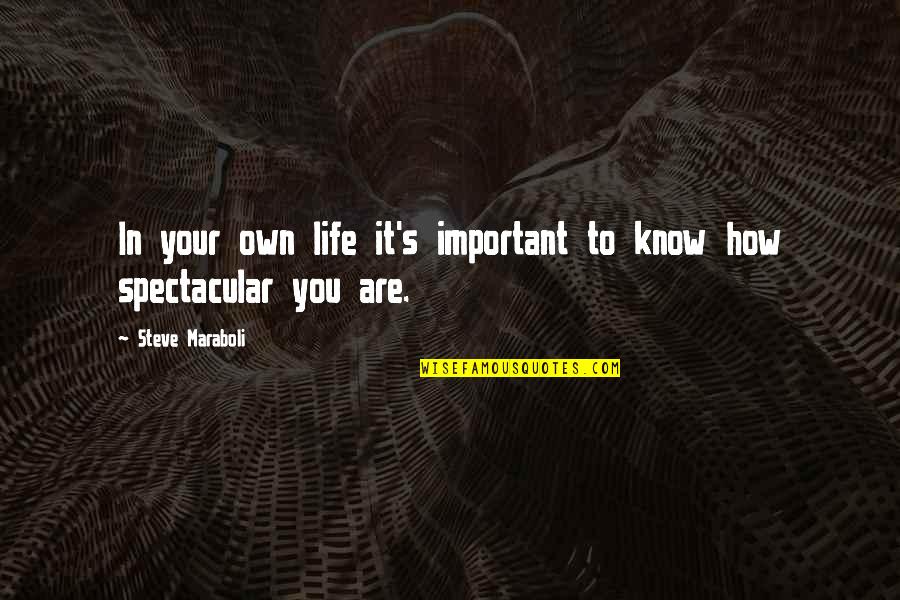 Esteem'st Quotes By Steve Maraboli: In your own life it's important to know