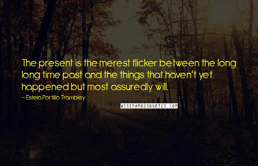 Estela Portillo Trambley quotes: The present is the merest flicker between the long long time past and the things that haven't yet happened but most assuredly will.