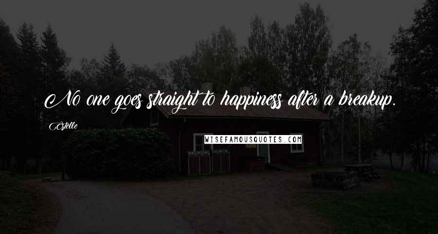 Estelle quotes: No one goes straight to happiness after a breakup.