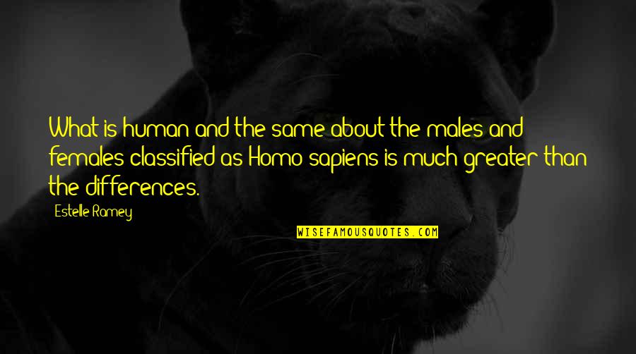 Estelle Ramey Quotes By Estelle Ramey: What is human and the same about the